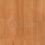 Старый орех 1