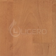 Старый орех 1